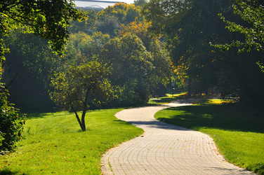 Similar image 1220650