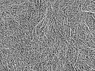 Similar image 1220665