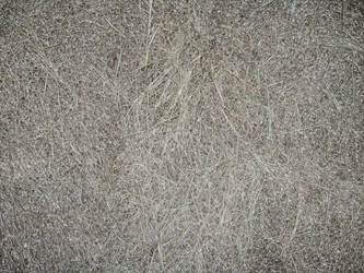 Similar image 1220675