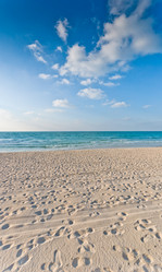 Similar image 1220708