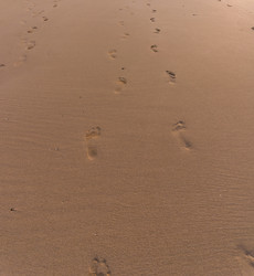 Similar image 1220710