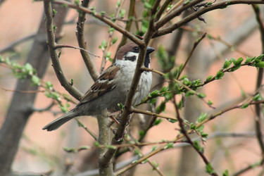 Similar image 1220733