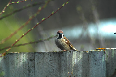 Similar image 1220734