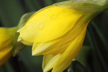 Similar image 1220774