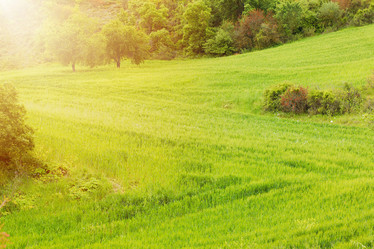 Similar image 1220781