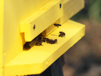 Similar image 1220782