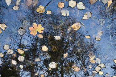 Similar image 1220786