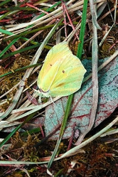 Similar image 1220787