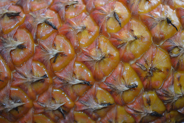 Similar image 1220797