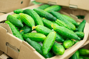 Similar image 1220944