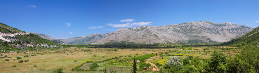 Similar image 1220990