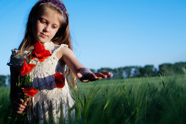 Similar image 1221019