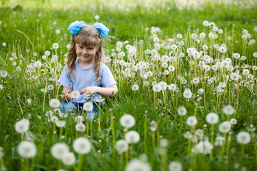 Similar image 1221029