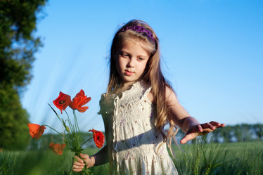 Similar image 1221030