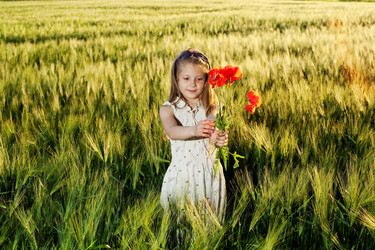 Similar image 1221049