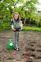 Similar image 1221050