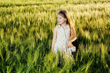 Similar image 1221054