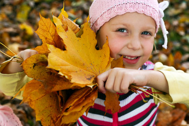 Similar image 1221062