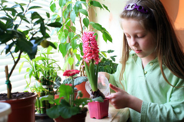 Similar image 1221068