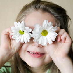 Similar image 1221071