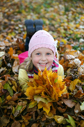 Similar image 1221102