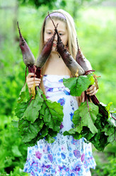 Similar image 1221156