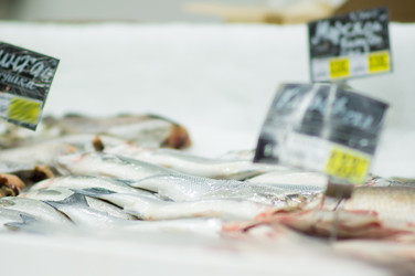 Similar image 1221163