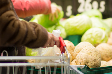 Similar image 1221165