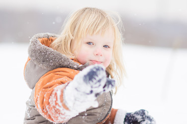 Similar image 1221166