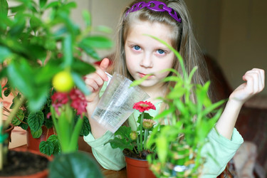 Similar image 1221181