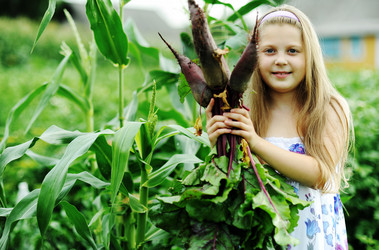 Similar image 1221217