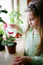 Similar image 1221229