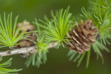 Similar image 1221242