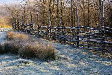 Similar image 1221246