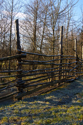 Similar image 1221247