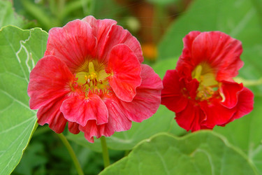 Similar image 1221252