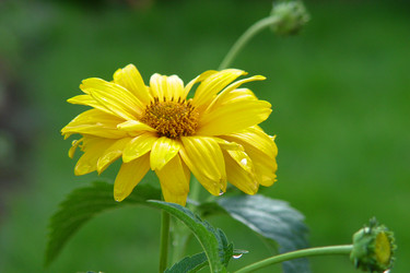 Similar image 1221253