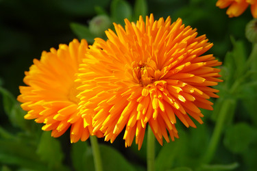 Similar image 1221254