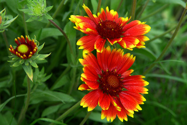 Similar image 1221257