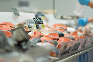 Similar image 1221304