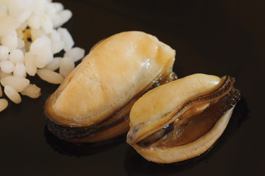 Similar image 1221320