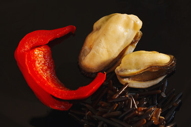 Similar image 1221336