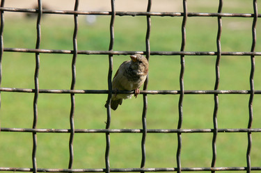 Similar image 1221353