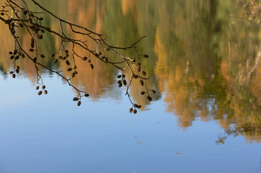 Similar image 1221354