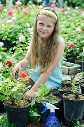 Similar image 1221386