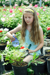 Similar image 1221393