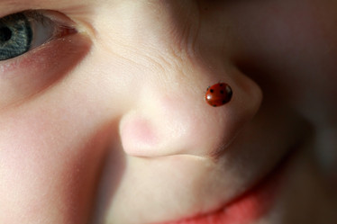 Similar image 1221399