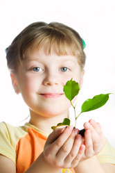 Similar image 1221493