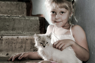 Similar image 1221506