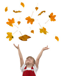 Similar image 1221508